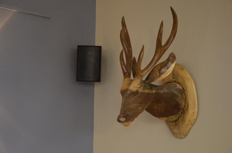 Ein hölzerner Hirschkopf hängt neben einer Lampe an der Wand.