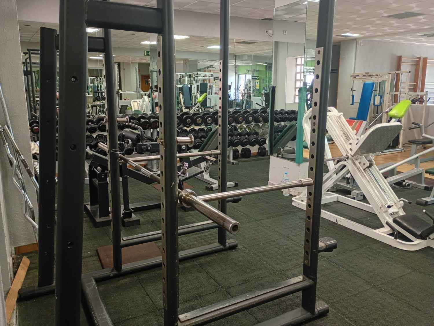 Interior de un gimnasio que muestra una jaula de potencia con una barra