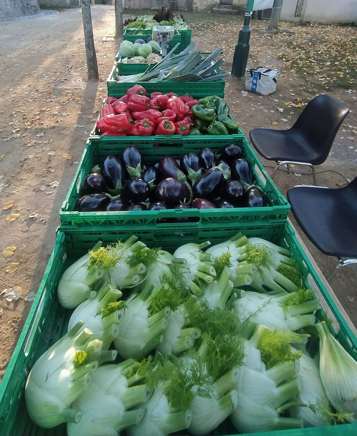 Des cagettes de légumes