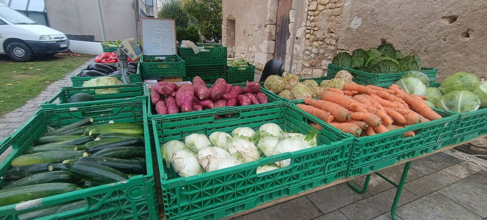 Des paniers de légumes