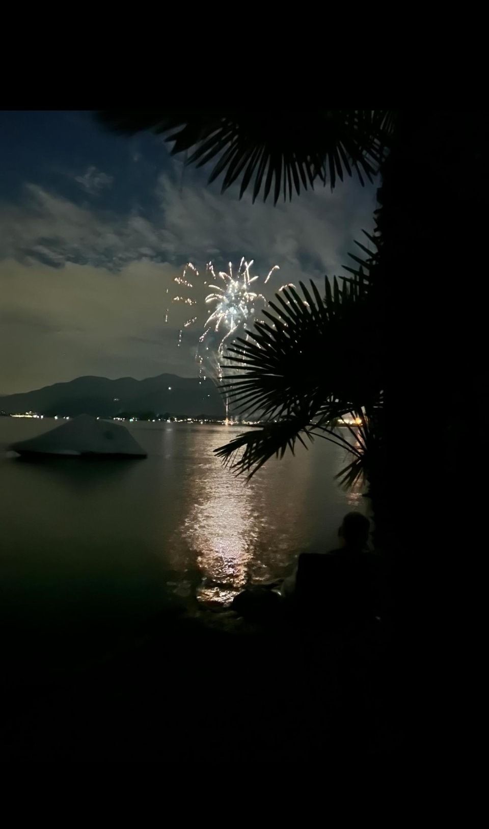 Uno spettacolo pirotecnico su uno specchio d'acqua con una palma in primo piano.
