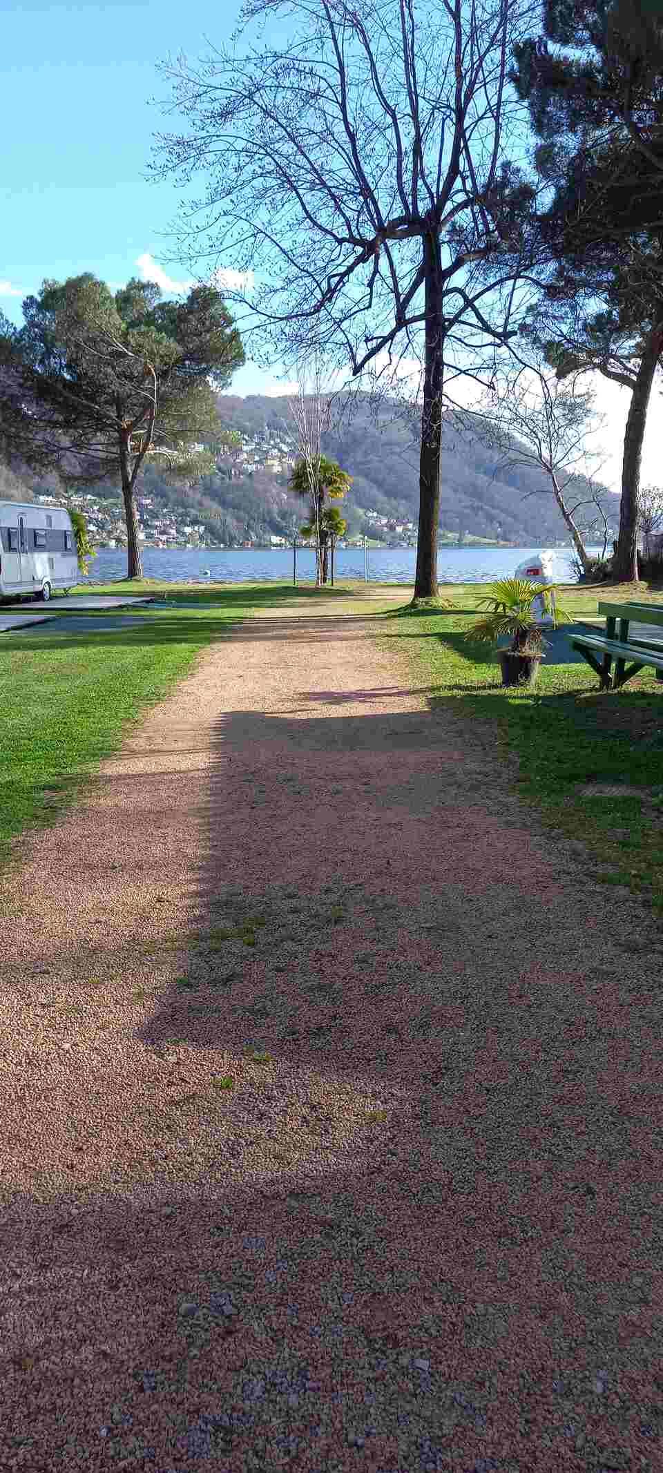 Un sentiero che porta ad un lago con alberi e una panchina.
