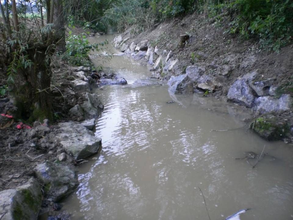 Schlammiger Bach, der von Felsen und einem Erdwall in einem Waldgebiet gesäumt ist.