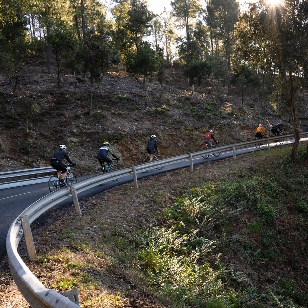 Un grupo de personas va en bicicleta por una carretera con curvas.