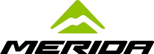 El logo de Mérida es un triangulo verde con una montaña en el medio.