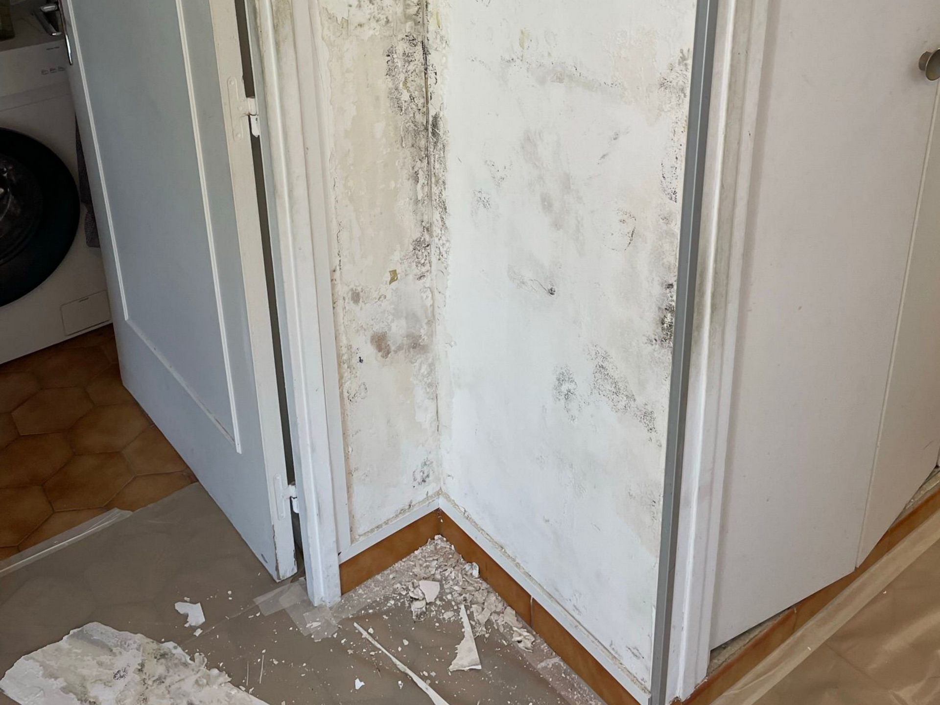 Moisissures et peinture écaillée sur un coin de mur blanc, à côté d'une porte de placard, avec des débris au sol.