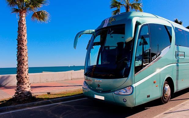 Un autobús verde está estacionado al costado de la carretera junto a una palmera.