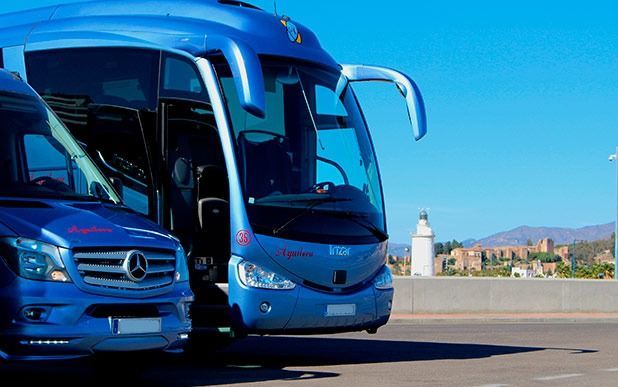 Dos autobuses azules están estacionados uno al lado del otro al costado de la carretera.