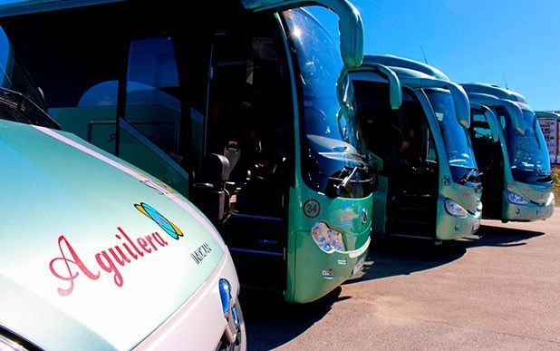 Una fila de autobuses verdes están estacionados uno al lado del otro.