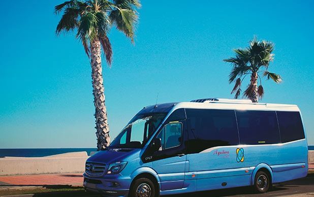 Una camioneta azul está estacionada junto a una palmera en la playa.