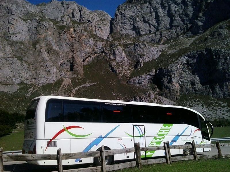 Un autobús blanco con la palabra peche en el costado está estacionado frente a una montaña.