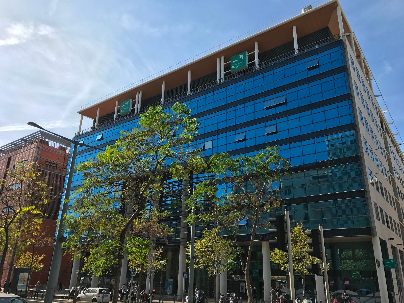 Film protection solaire