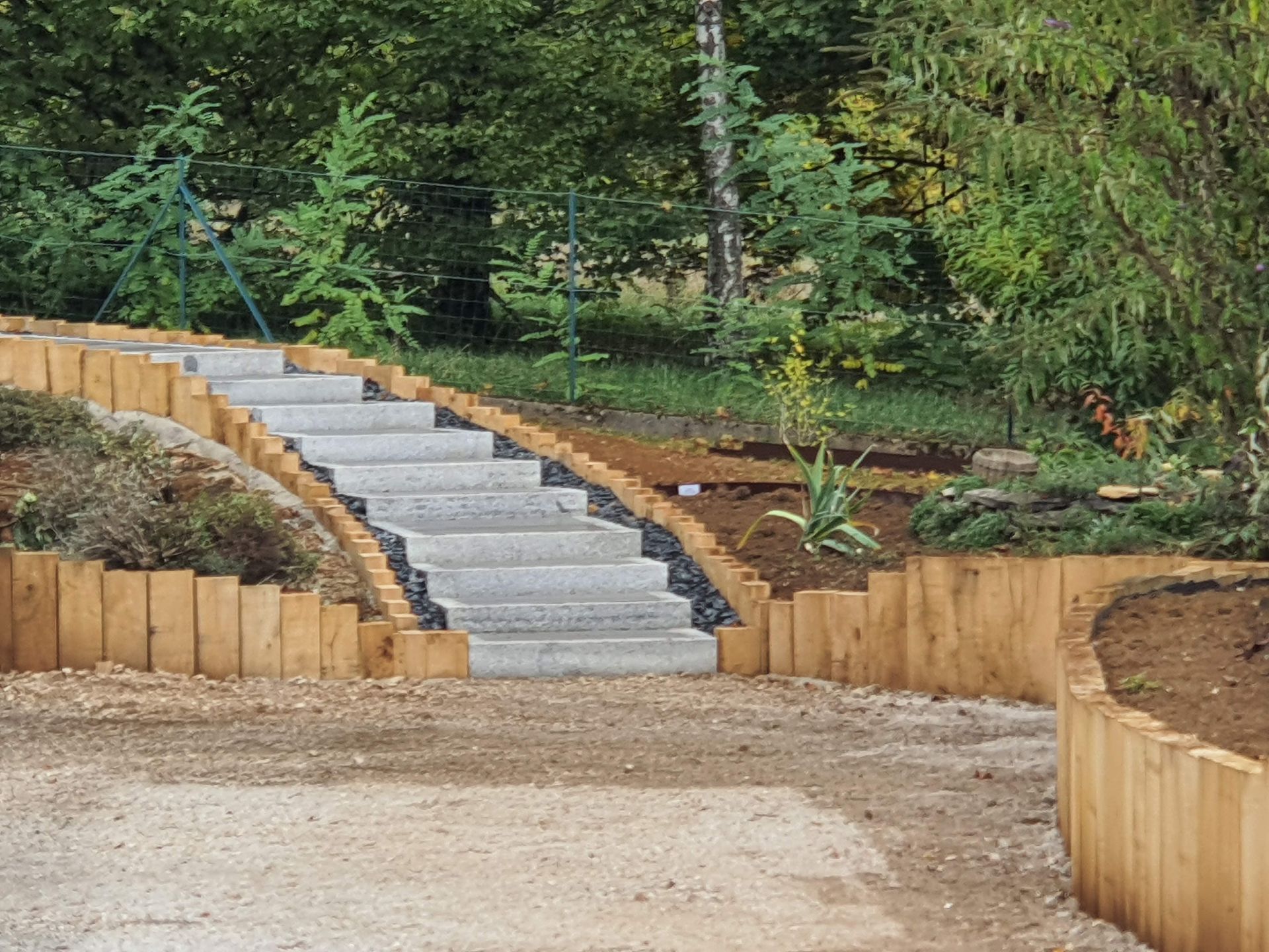 Photo d'un jardin vert