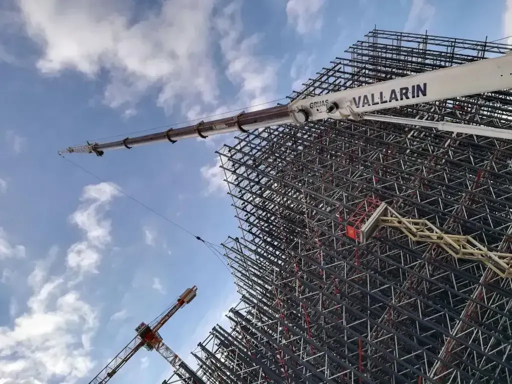 Una grulla con la palabra vallarin en ella