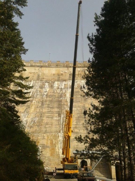 Una gran grulla amarilla está sentada frente a un gran muro.