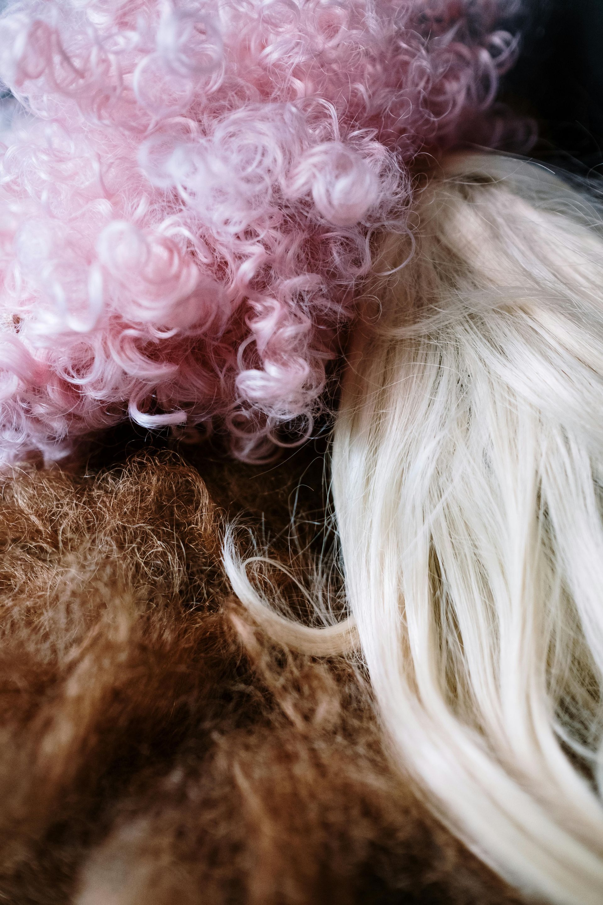 Gros plan sur une perruque rose bouclée, une mèche de cheveux blonds et un tissu en fourrure marron sur fond sombre.
