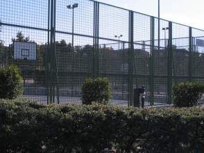 Cancha de baloncesto detrás de una valla de alambre verde con un seto en primer plano.