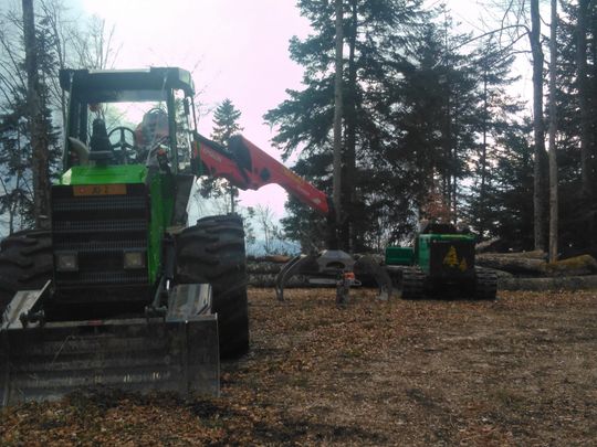 Plantation d'arbres dans le Jura - Écoforêts Gatherat Sàrl