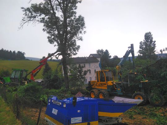 Abattages spéciaux dans le Jura - Écoforêts Gatherat Sàrl