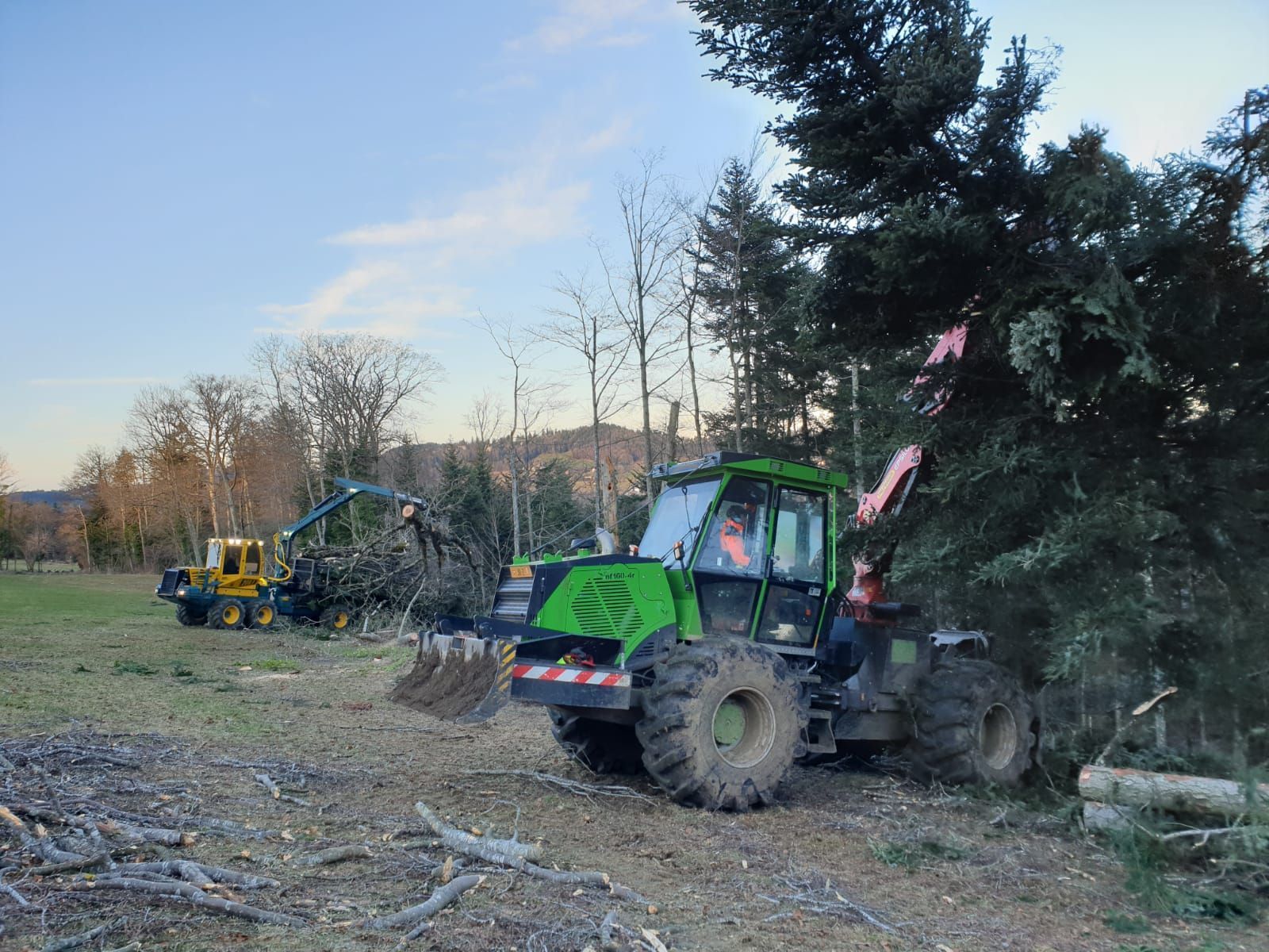 Abattage, débardage et commerce de bois dans le Jura - Écoforêts Gatherat Sàrl