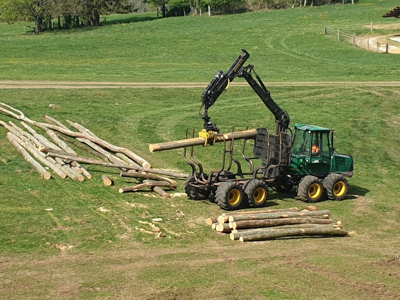 Abattage, débardage et commerce de bois dans le Jura - Écoforêts Gatherat Sàrl