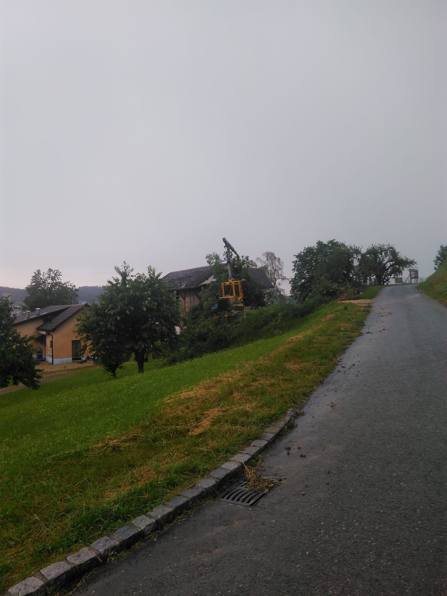 Abattage, débardage et commerce de bois dans le Jura - Écoforêts Gatherat Sàrl