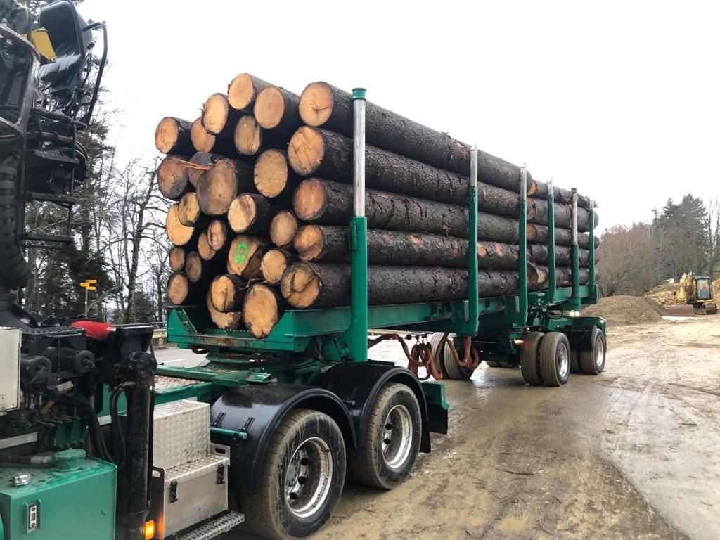 Abattage, débardage et commerce de bois dans le Jura - Écoforêts Gatherat Sàrl