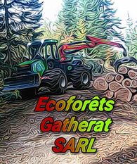 Abattage, débardage et commerce de bois - Écoforêts Gatherat Sàrl