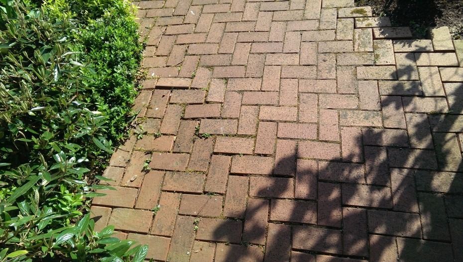 Ein sonnenbeschienener Weg, der mit roten Ziegeln im Fischgrätmuster gepflastert ist und links von grünen Büschen gesäumt wird.