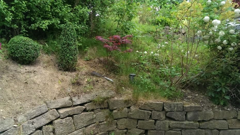 Unterhalb eines landschaftlich gestalteten Hangs mit einem skulpturierten Strauch, einem kleinen Baum und blühenden Büschen befindet sich eine steinerne Stützmauer.