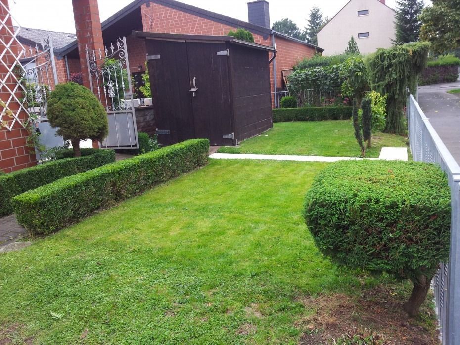 Ein gepflegter Wohnrasen mit gestutzten Hecken, einem Holzschuppen und Backsteingebäuden im Hintergrund.