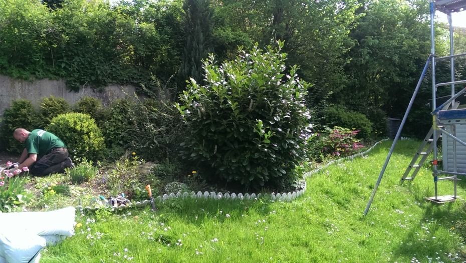 Eine Person in einem grünen Hemd arbeitet in einem Garten mit einem großen Busch in der Mitte, Blumenbeeten und einer Metallleiter auf der rechten Seite.