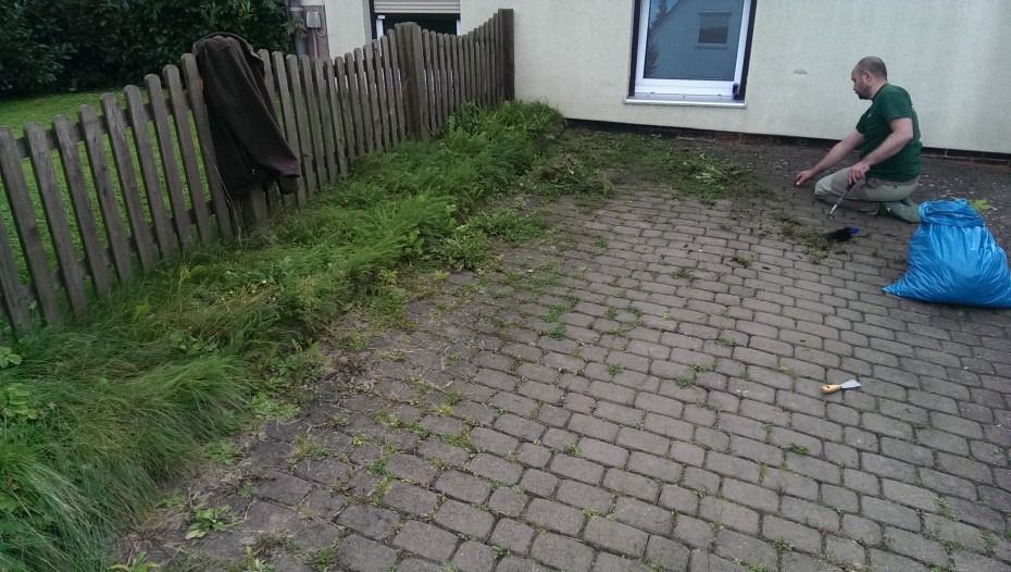 Eine Person in einem grünen Hemd kniet auf einer gemauerten Terrasse, um Unkraut in der Nähe eines Holzzauns und einer Hauswand zu entfernen.