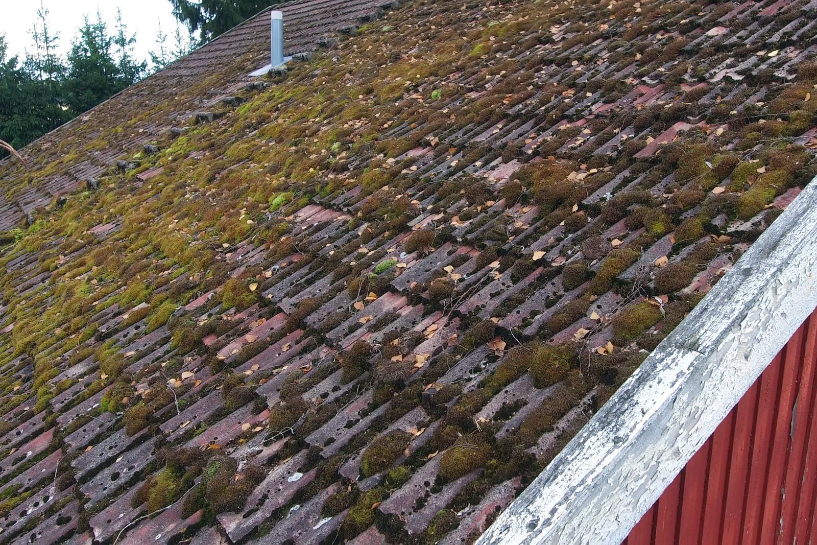 Moss-covered sloped roof with a white chimney and red siding along the edge