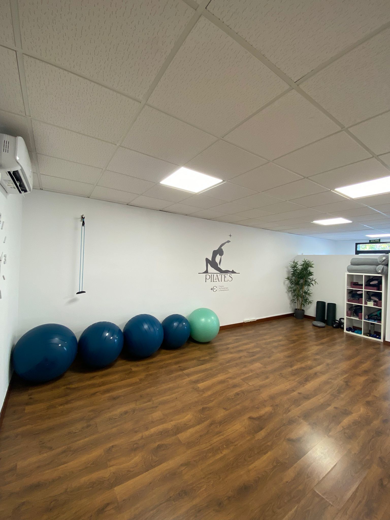 Un estudio de ejercicios con suelo de madera, varias pelotas de estabilidad de colores alineadas contra una pared y una estantería de yoga en la esquina.