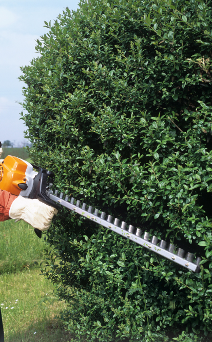 Une personne utilise un taille-haie pour tailler un buisson vert dans un jardin.