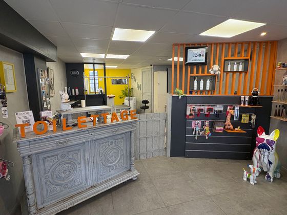 Comptoir de magasin de cadeaux et de jouets avec une enseigne orange, des étagères et une figurine de chien blanc près de l'entrée