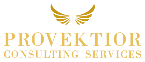 Provektior Consulting Services
