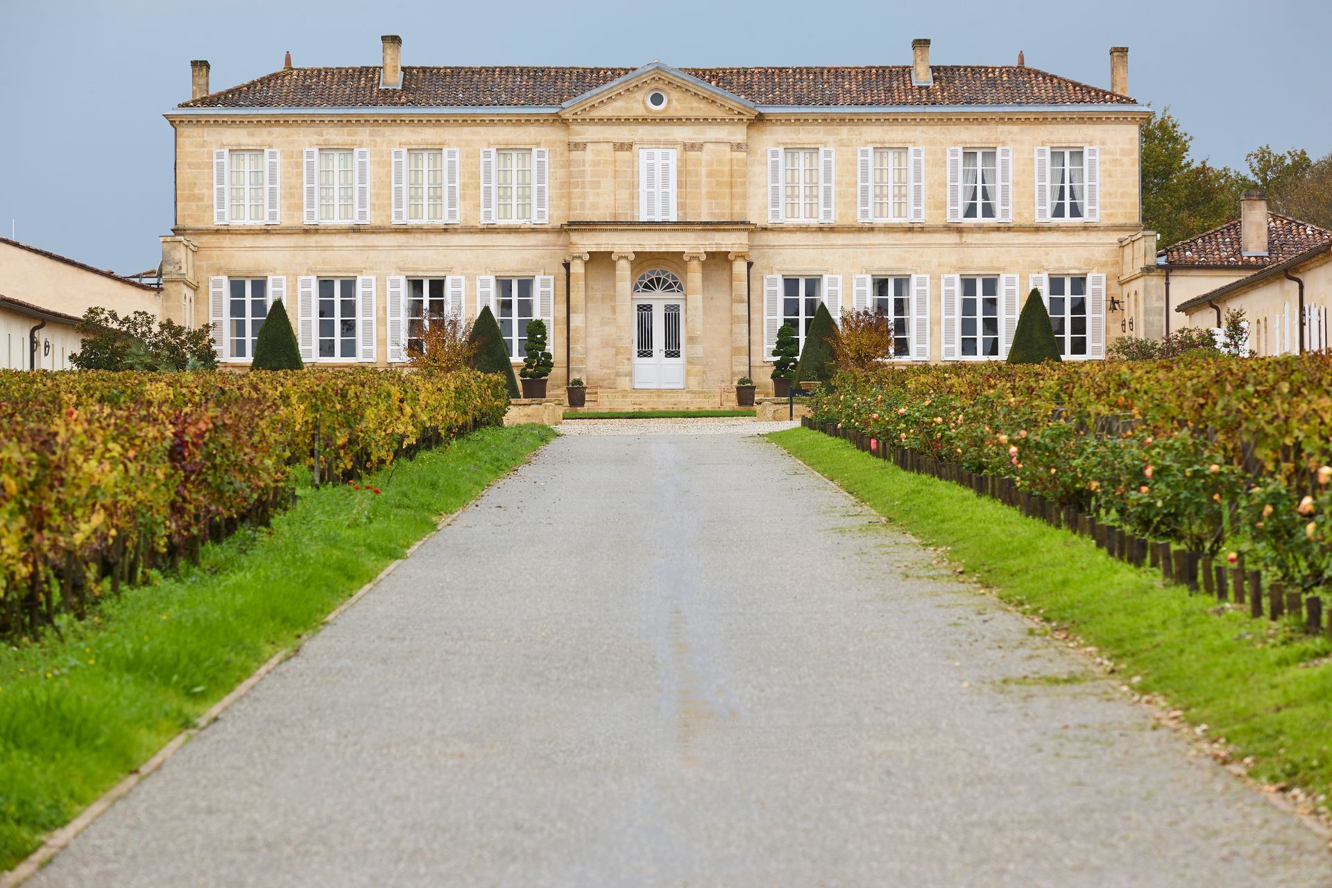 Un domaine viticole avec des espaces verts