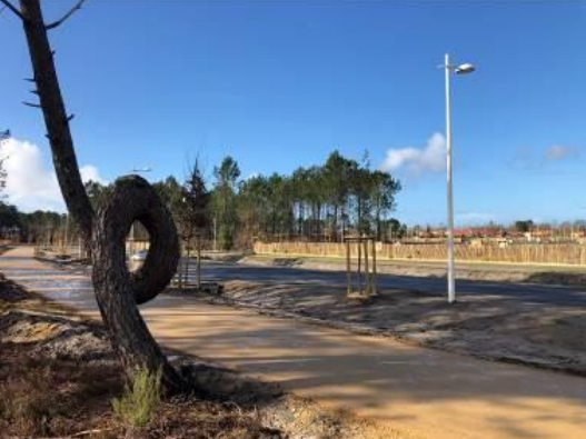 Projet d'aménagement territorial