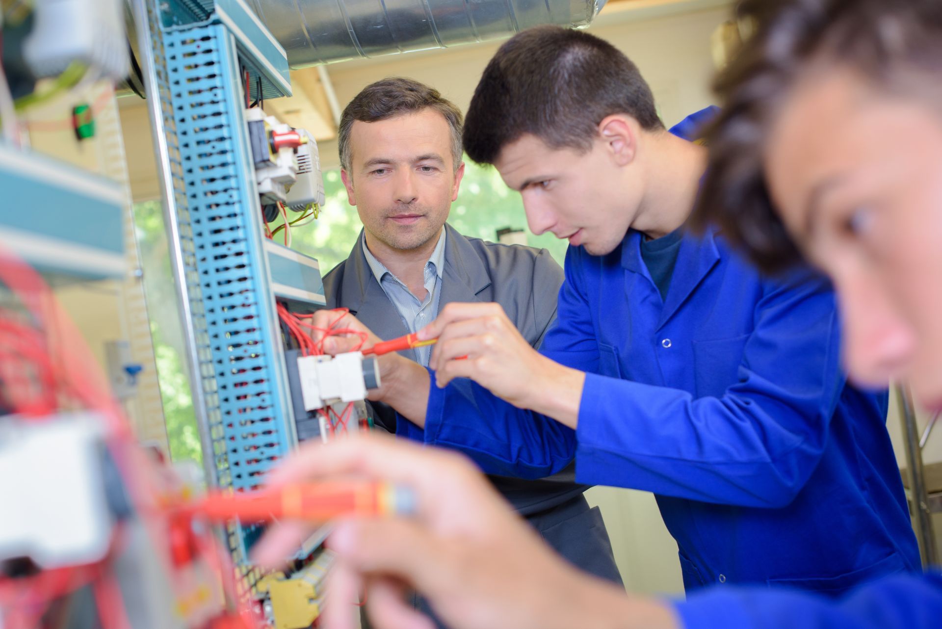 Un électricien forme deux apprentis au câblage. Ils travaillent à l'intérieur d'un boîtier électrique, parmi les câbles.