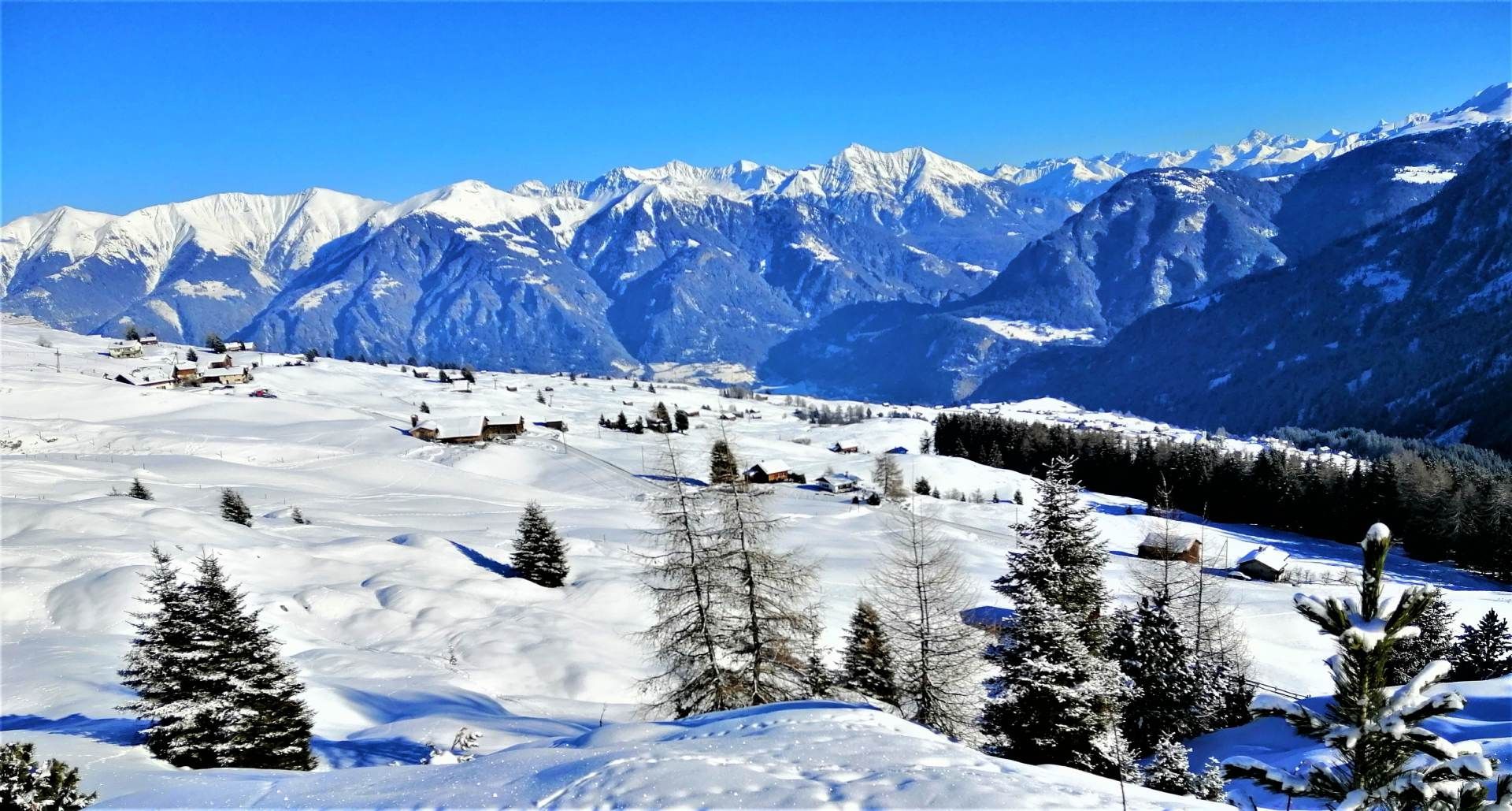Un paesaggio innevato con montagne sullo sfondo e alberi in primo piano