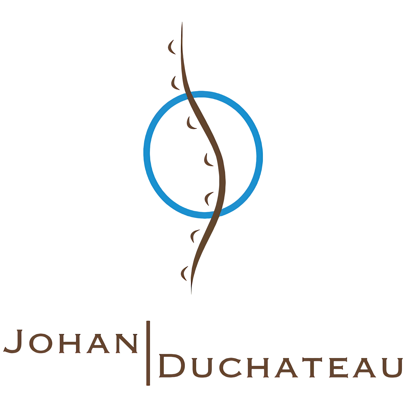 Johan Duchateau Praxis f. Physiotherapie logo