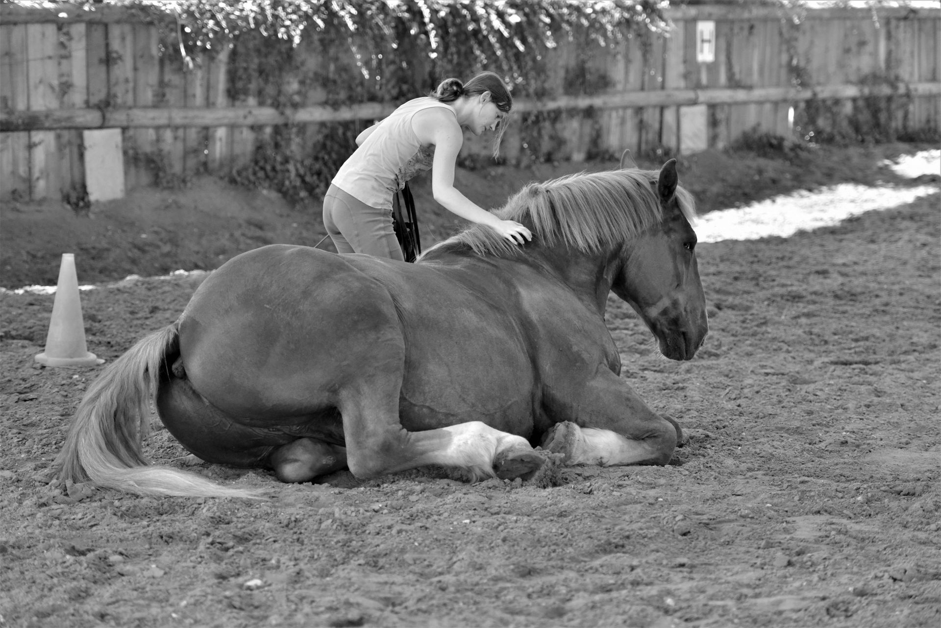 Consultation psychologique