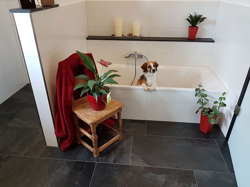 Ein Hund sitzt in einer Badewanne in einem Badezimmer.