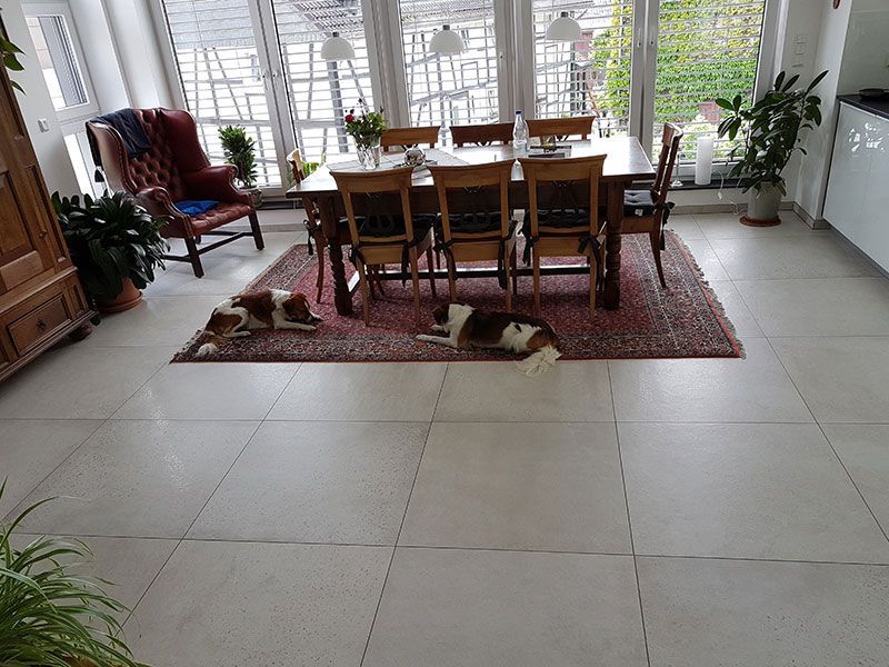 Ein Esszimmer mit einem Tisch und Stühlen und einem Hund auf dem Boden