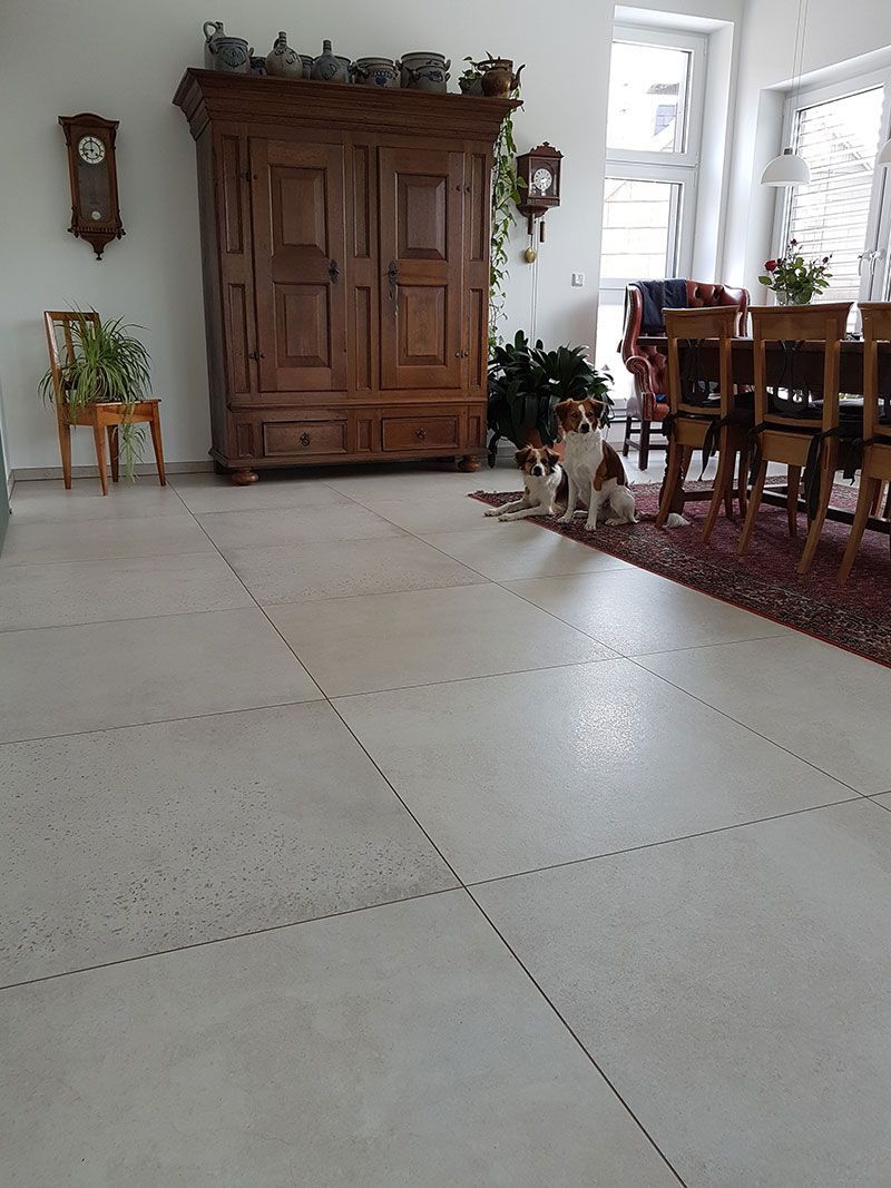 Ein Hund sitzt in einem Wohnzimmer neben einer Uhr auf dem Boden.