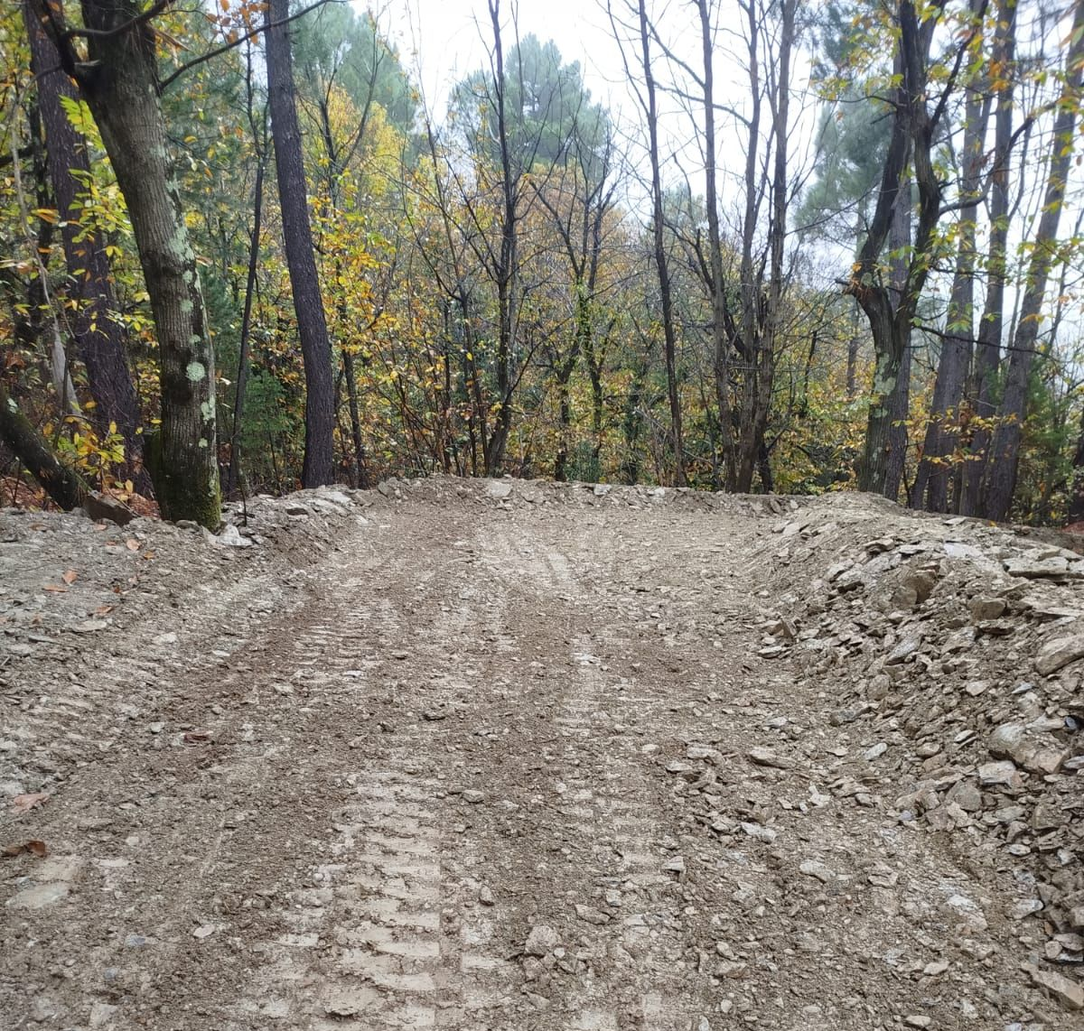 Création d'une allée