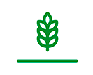 Un icono verde de una espiga de trigo sobre un fondo blanco.