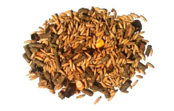 Un montón de granos y nueces sobre un fondo blanco.